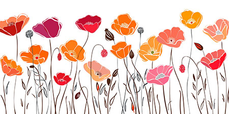 Mohnblumen - moderne Illustration auf Leinwand, Acrylglas, Alu-Dibond oder als Poster