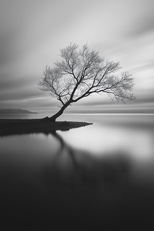 Einsamer Baum - Wandbild im Stil eines Gemäldes auf Leinwand, Acrylglas, Alu-Dibond oder als Poster