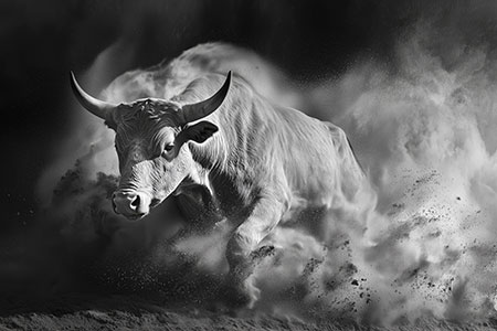 Wilder Stier - Wandbild im Stil einer Fotografie auf Leinwand, Acrylglas, Alu-Dibond oder als Poster